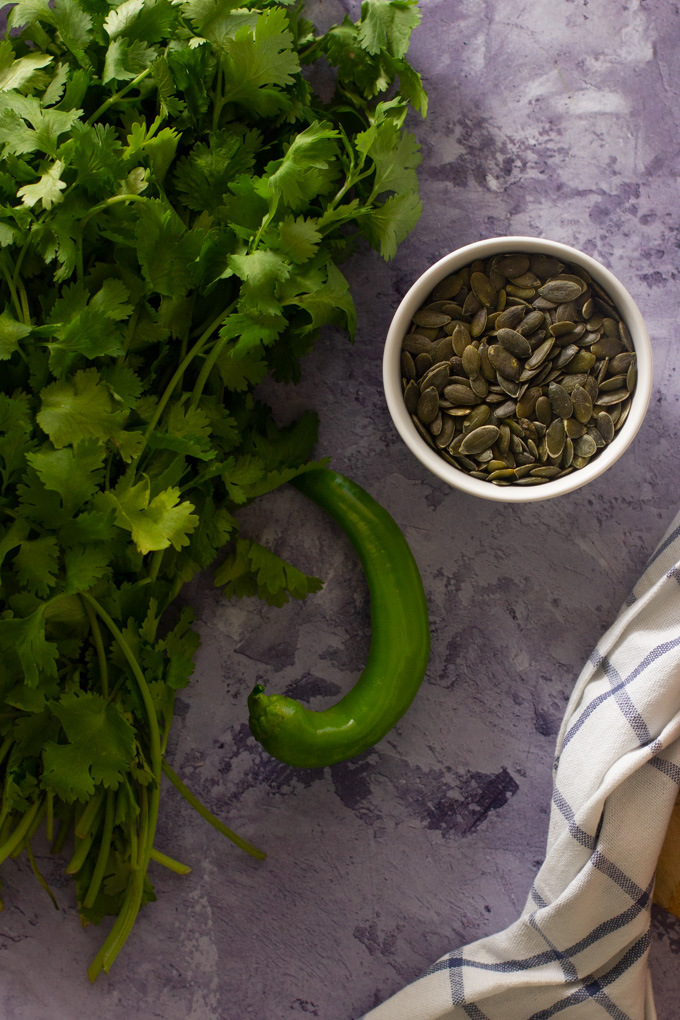 Red Lentil and Butternut Squash with Spicy Coriander Pesto