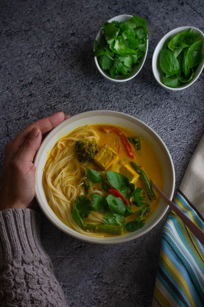 Coconut Vegetable and Tofu Curry Soup